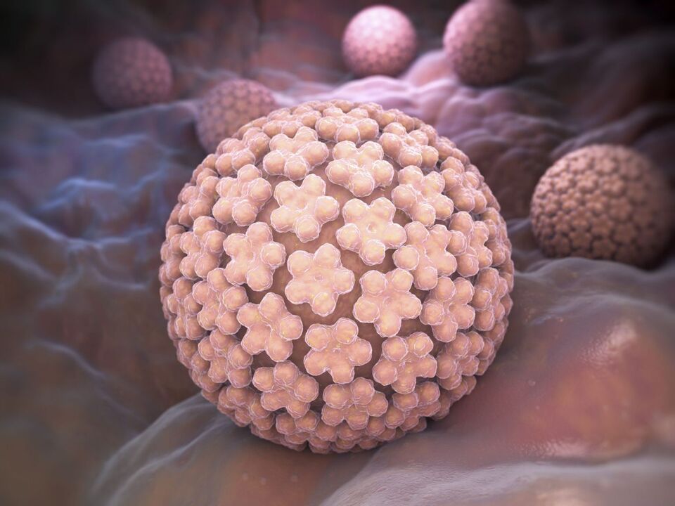 Human papilloma virus